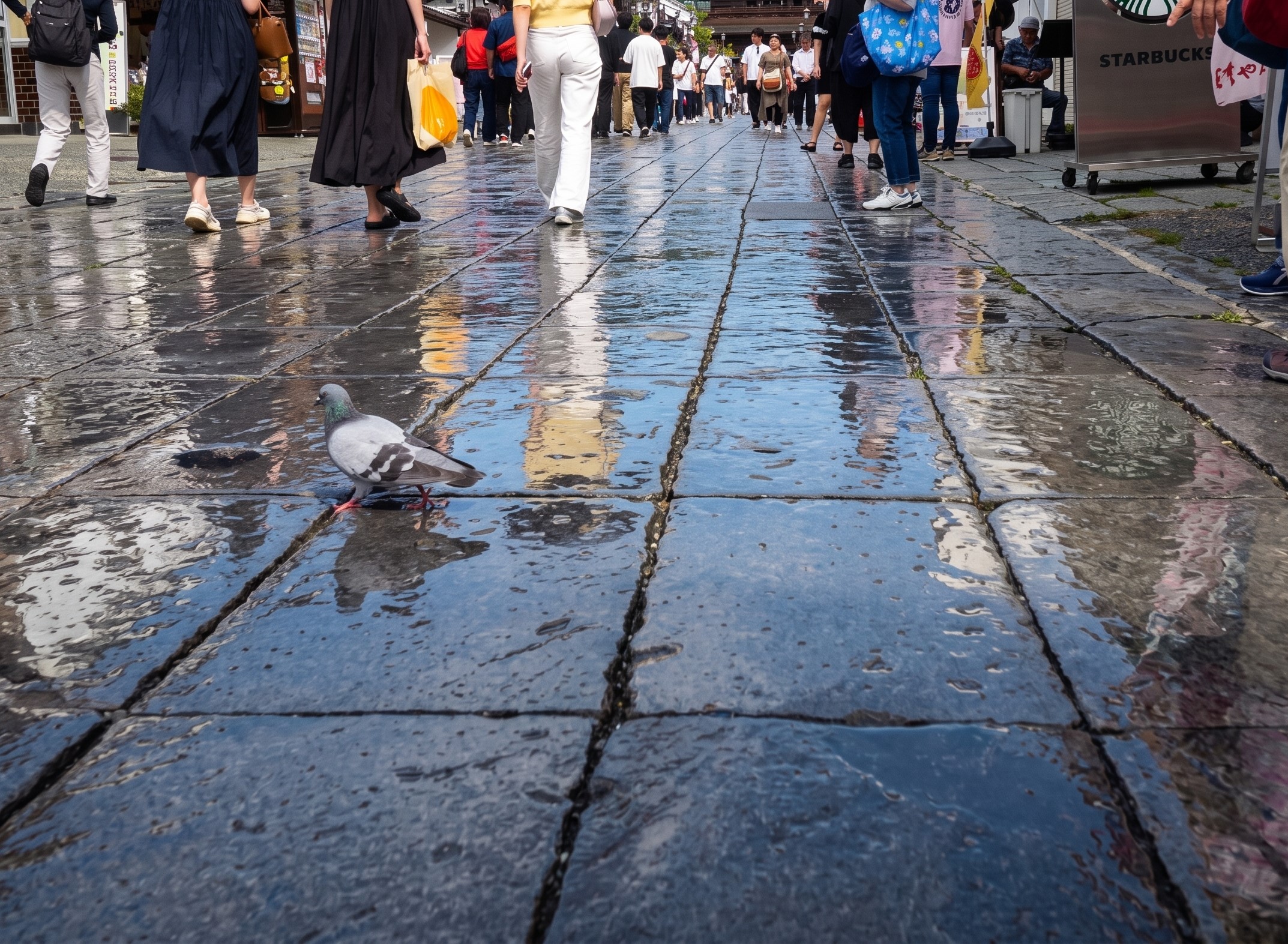 雨上がりの石畳も風情あり
